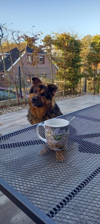 Rüdiger auf der Terrasse