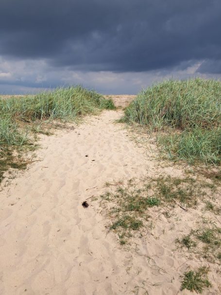 Strand von Hooksiel